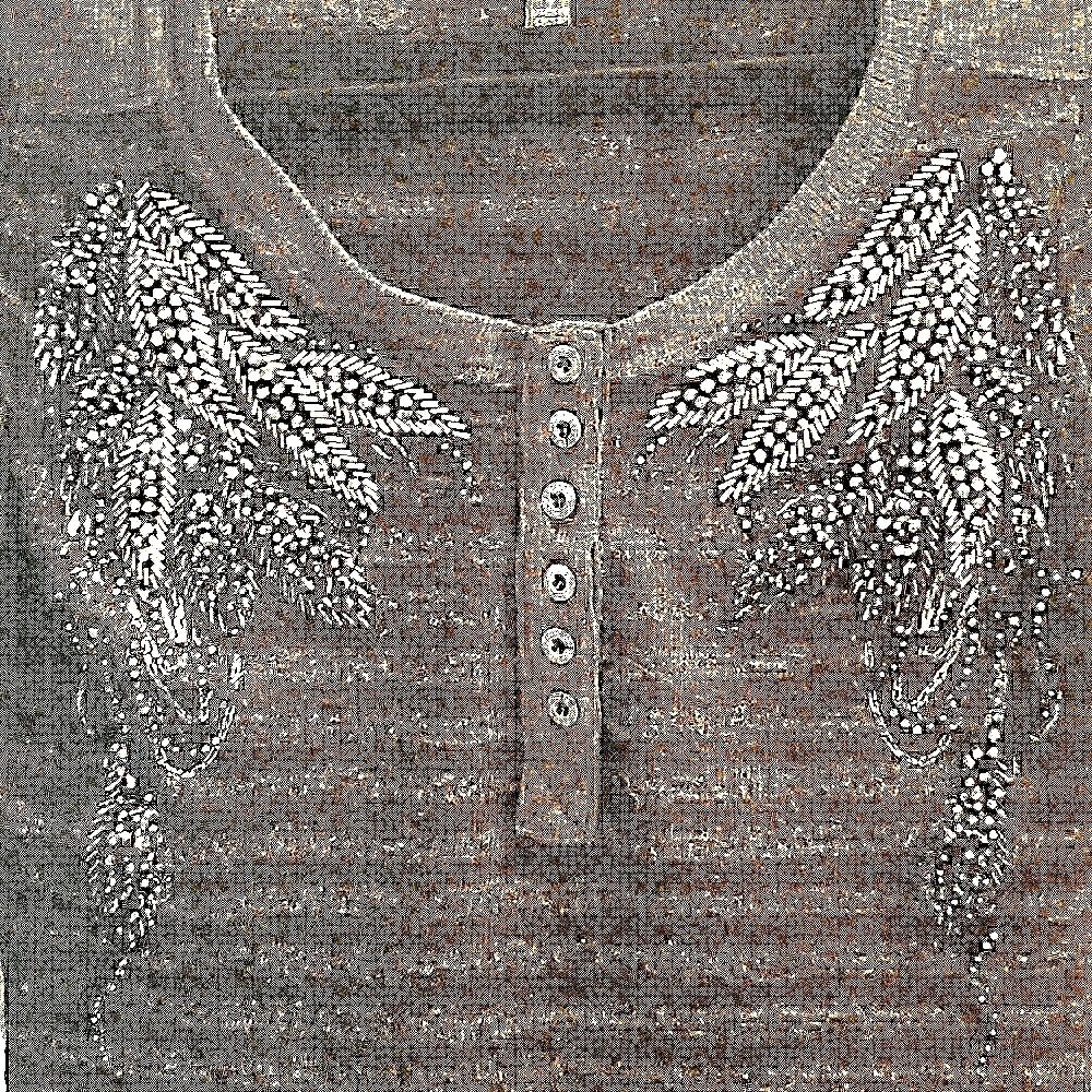 Miss Me Top